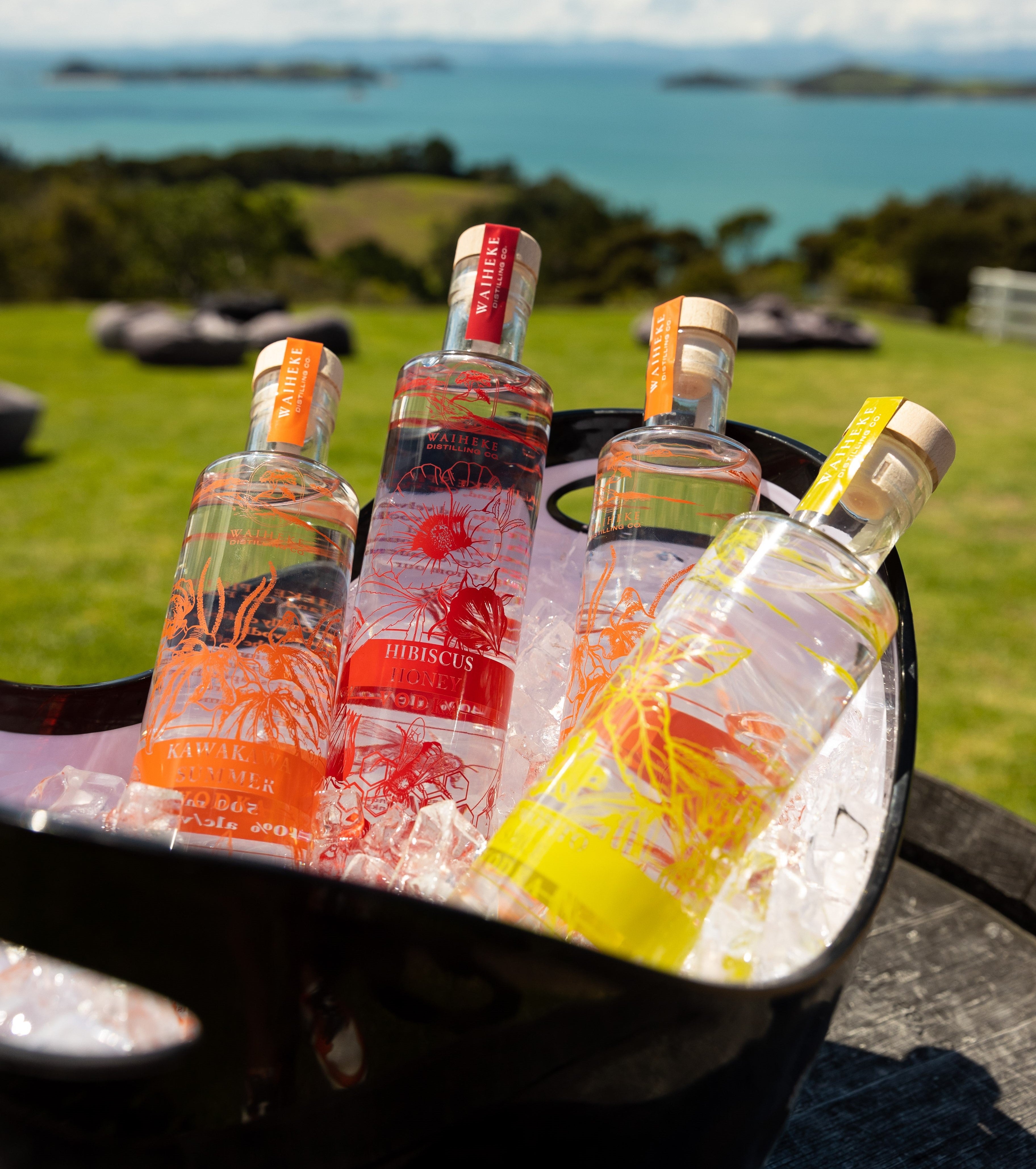 Vodka Gift Box