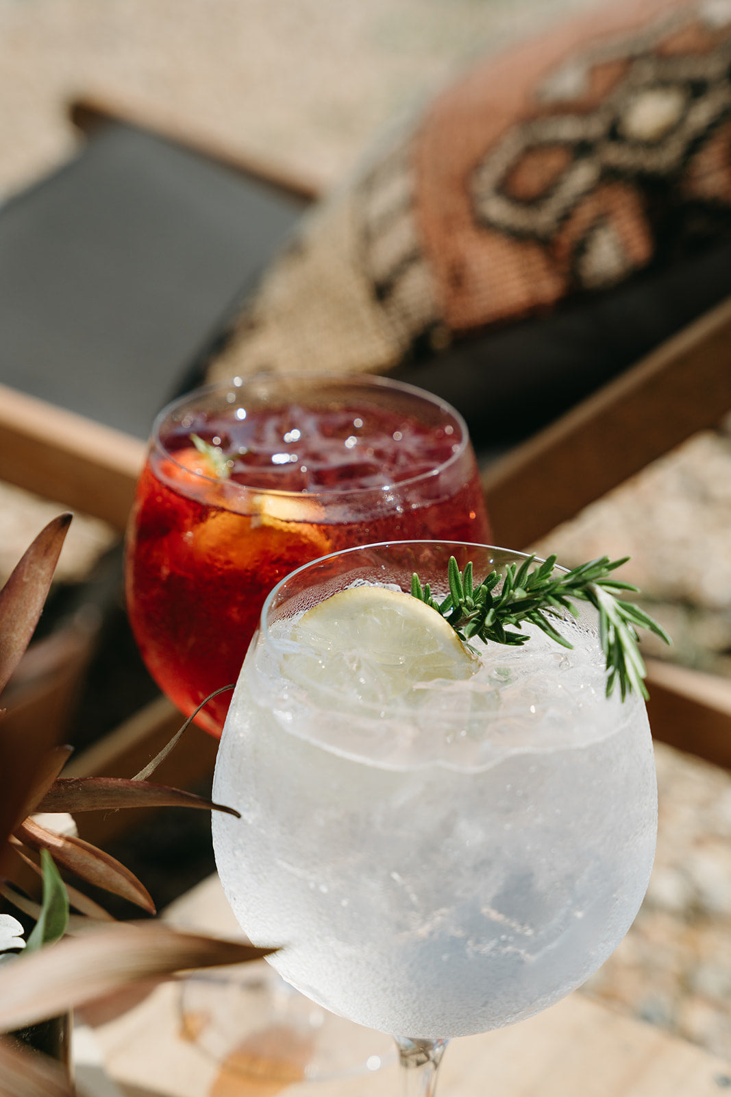 Two glasses of gin